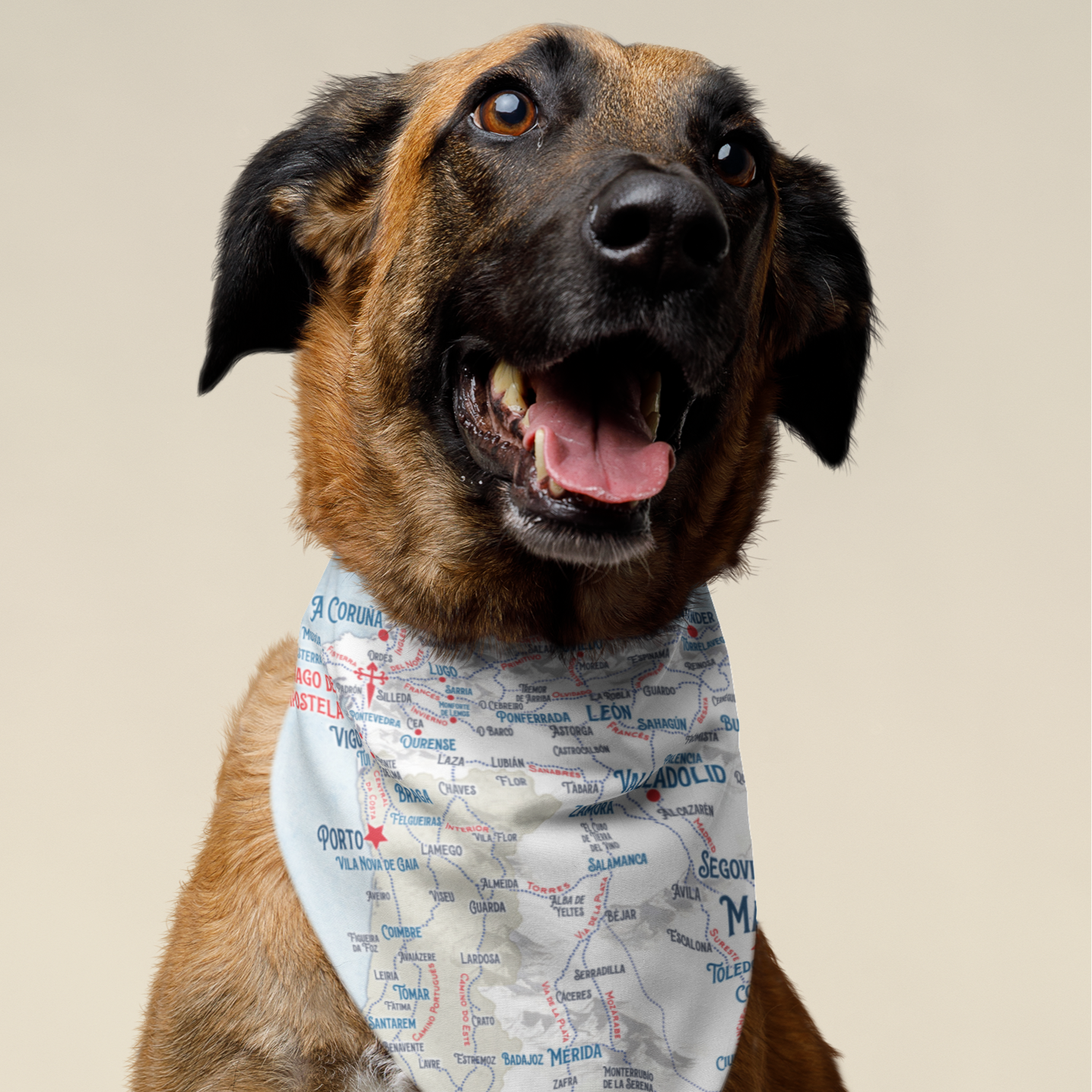 Camino Journeys Map Bandana