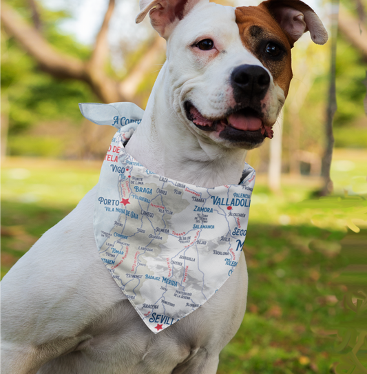Camino Journeys Map Bandanna