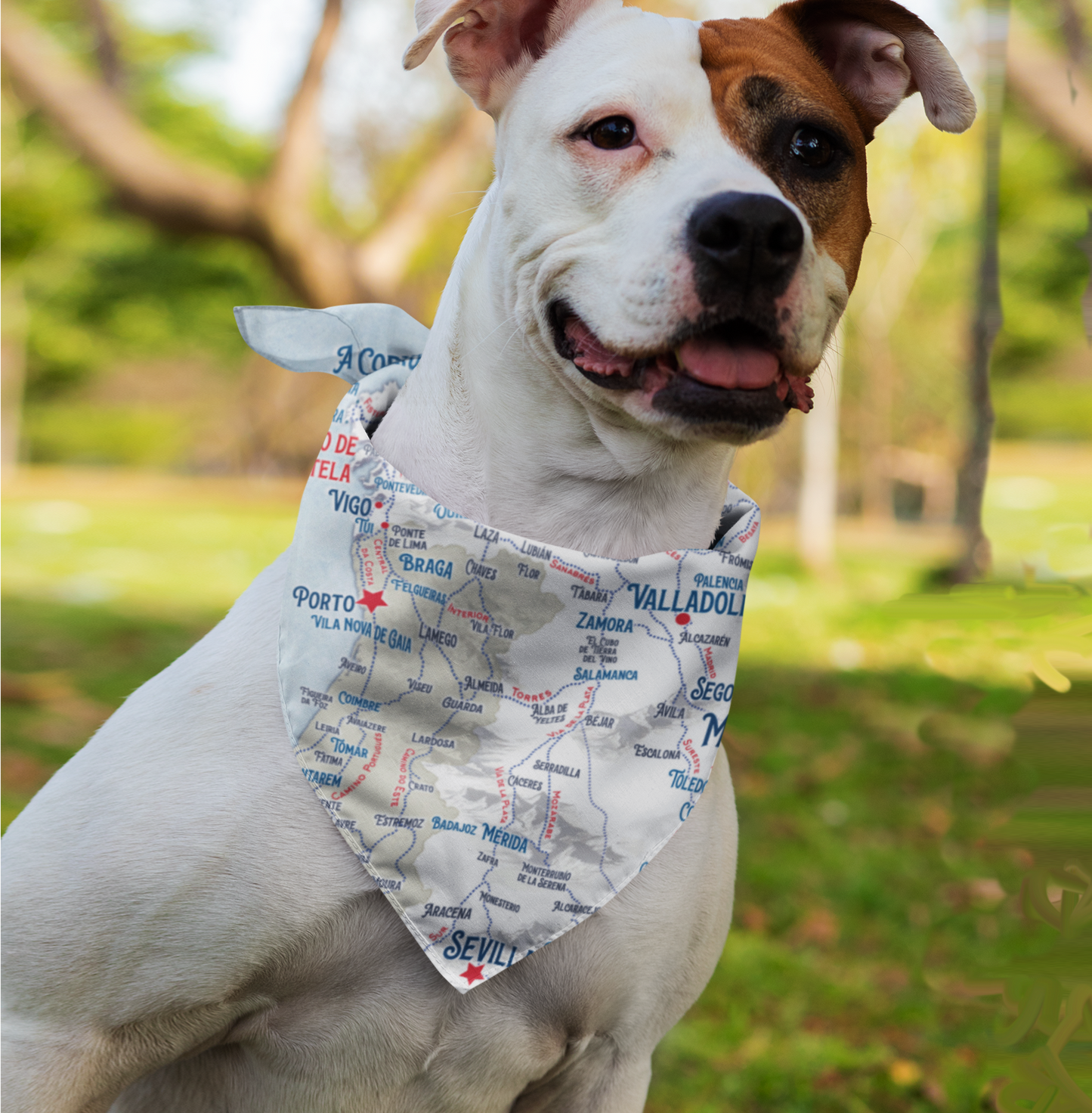 Camino Journeys Map Bandana